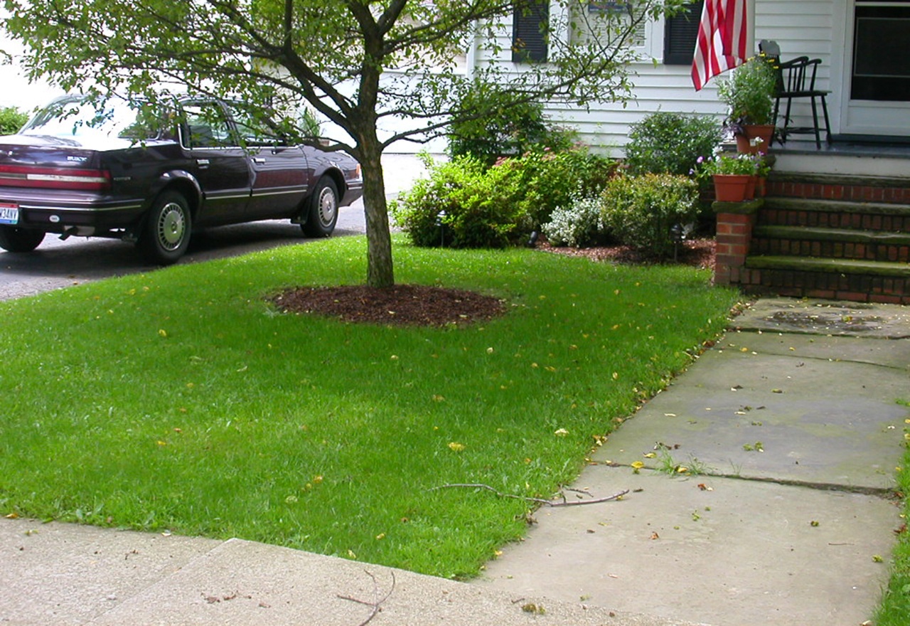 Slice Seeding Good Nature Organic Lawn Care